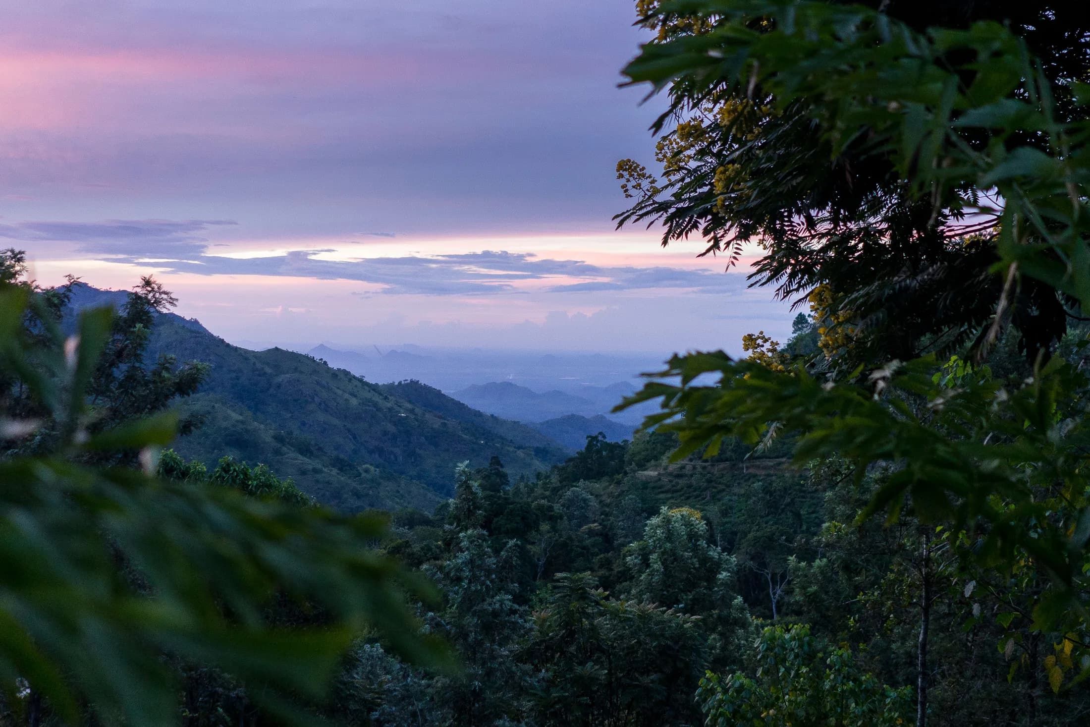 Knuckles Mountain Range scenic landscape in Sri Lanka
