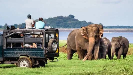 Private transfer to Yala National Park from south coast Sri Lanka