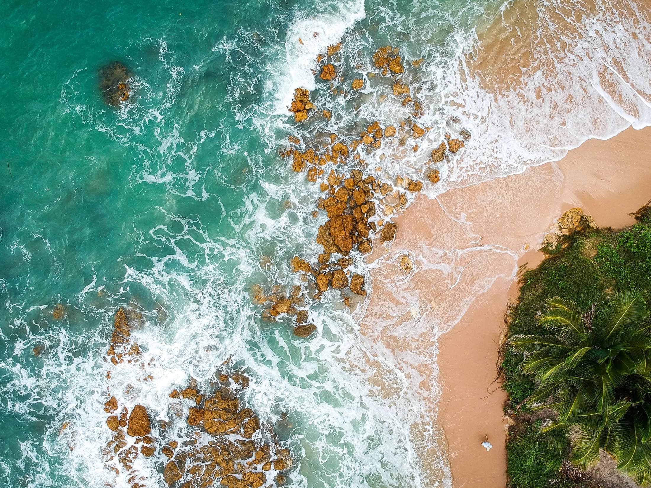 Unawatuna Beach in southern Sri Lanka with palm trees and blue water